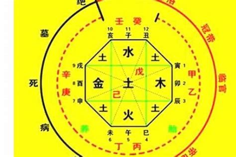 喜用神怎麼看|【如何看喜用神】八字入門必學！解密你的喜用神，掌握運勢先。